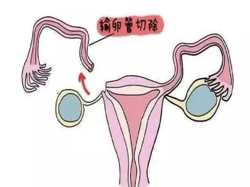 北京代孕最靠谱机构，北京代妈都看好孕之家放心